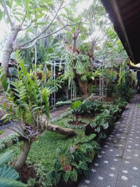 Buratwangi Tropis House